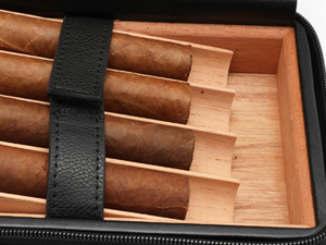 cigar humidor case