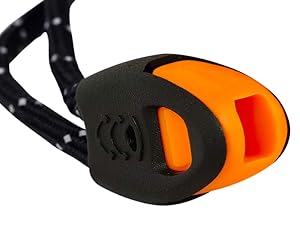 Whistle